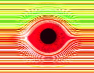 eye
